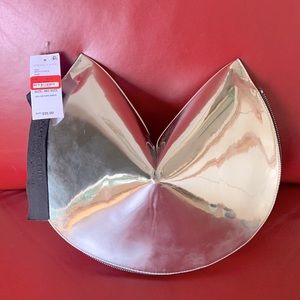 Bag from Nordstrom Rack; silver; brand new